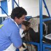 Cattle Reproductive Examination Kit