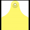 Two-Piece Cattle Ear Tags