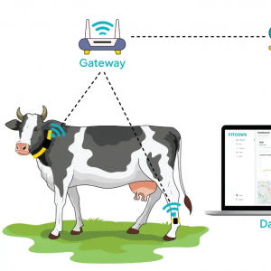 Smart Cattle Tracking System - SHEWUYOU Livestock Equipment