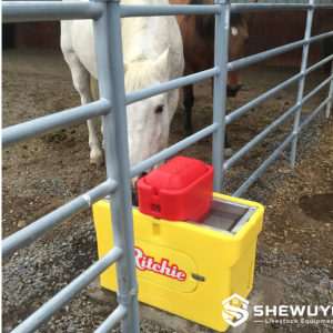 Stainless Steel Heated Cattle Waterer - SHEWUYOU Livestock Equipment