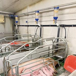 Mobile Piglet Creep Box - SHEWUYOU Livestock Equipment