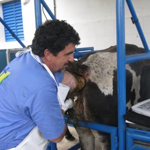 Cattle Reproductive Examination Kit - SHEWUYOU Livestock Equipment