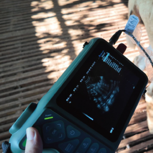 Cattle Pregnancy Diagnosis Equipment Kit - SHEWUYOU Livestock Equipment