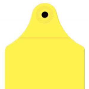 Official Cattle Identification Tags - SHEWUYOU Livestock Equipment