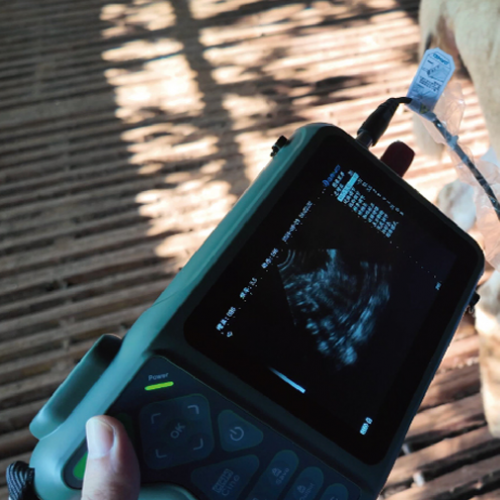 Cattle Pregnancy Diagnosis Equipment Kit - SHEWUYOU Livestock Equipment
