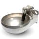 Cattle Drinking Equipment