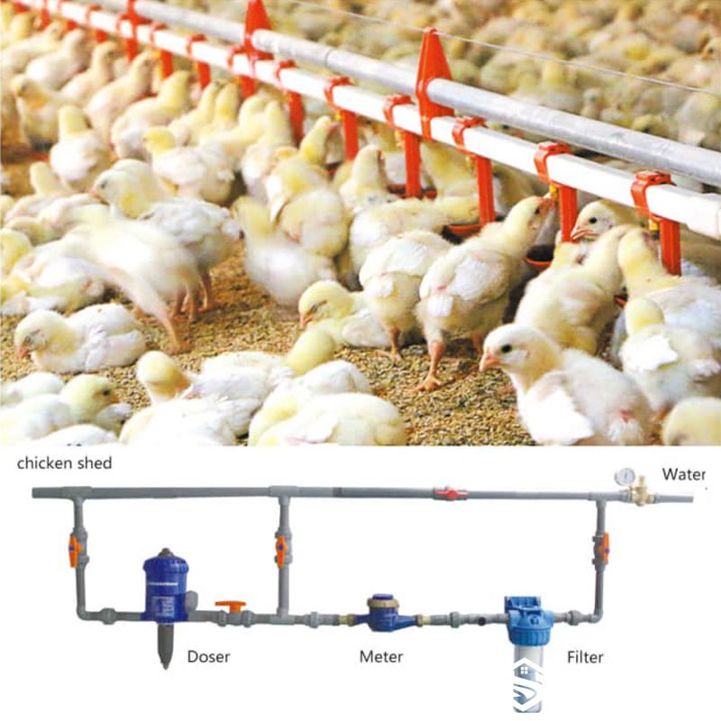 poultry drinking water filter and main water supply system