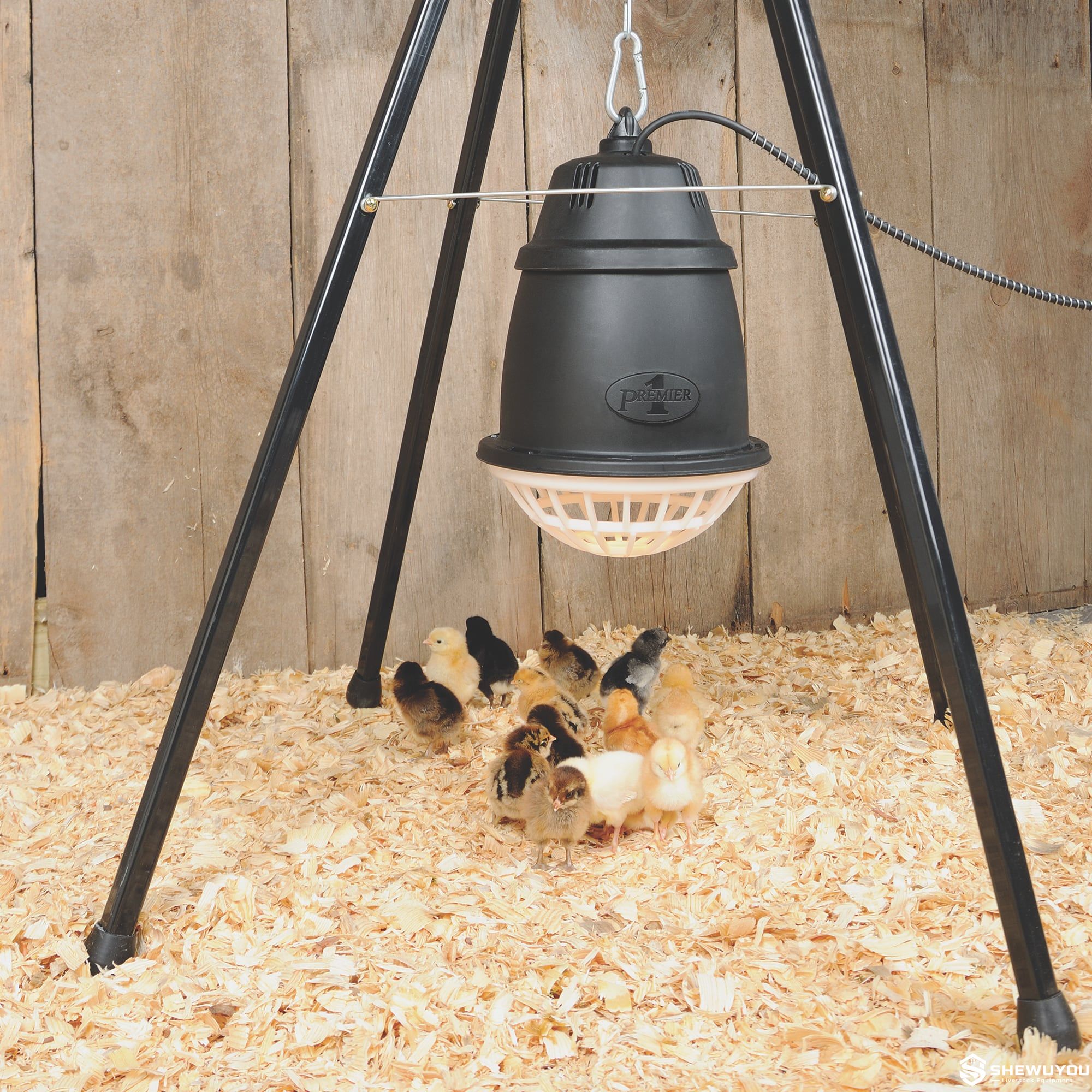 adjustable livestock heat lamp support in nursery area