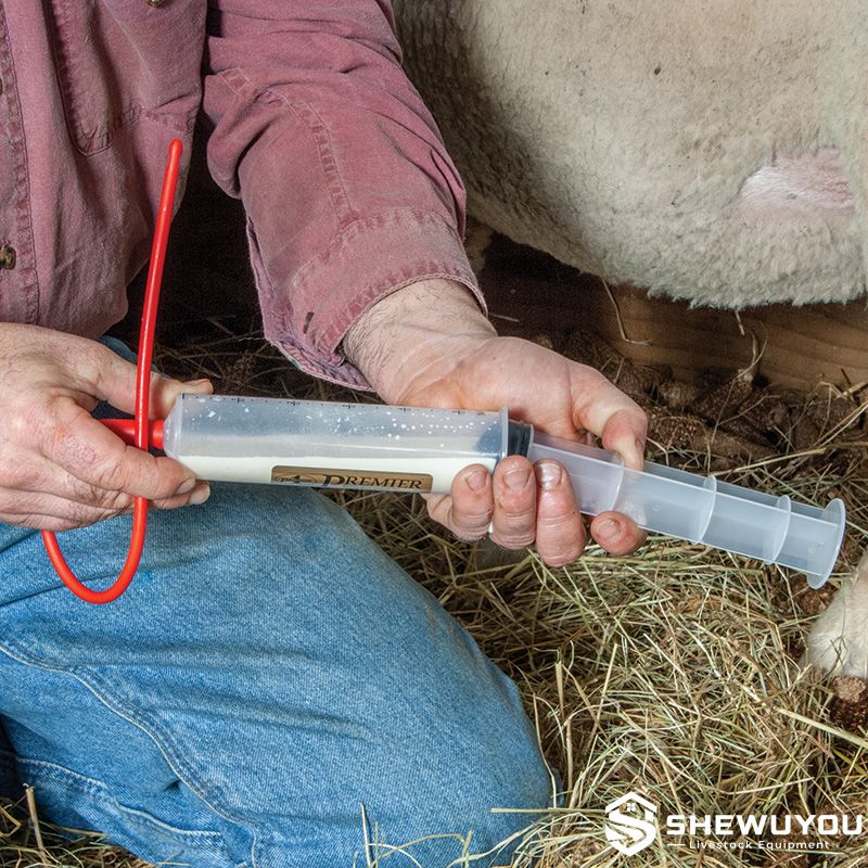 lamb colostrum syringe with red feeding tube