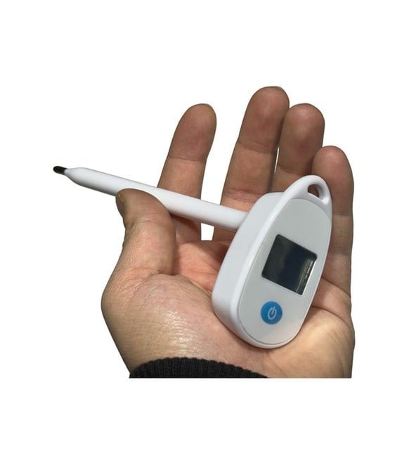 handheld digital livestock thermometer with veterinary probe