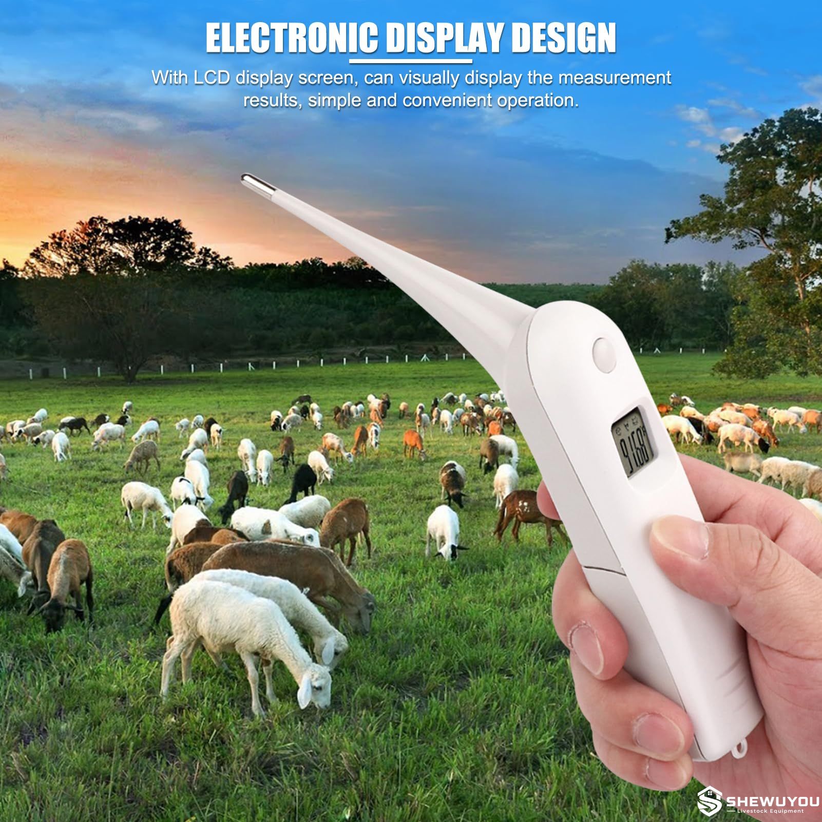 digital thermometer for sheep and livestock temperature measurement