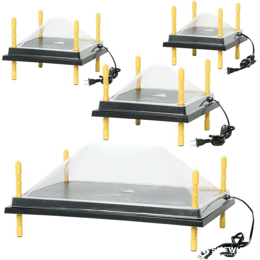 large electric brooder heating plate for chicks