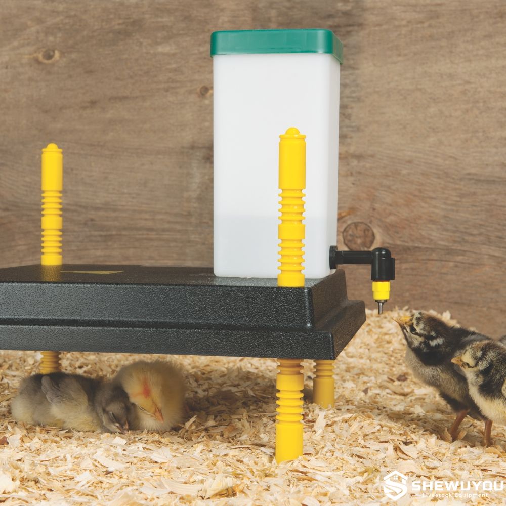 electric brooder plate with poultry drinker