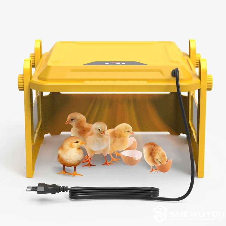 adjustable electric chick brooder for young poultry