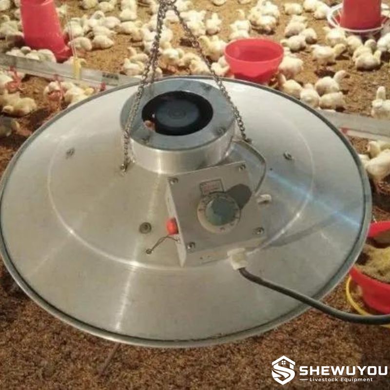 broiler electric brooder system for poultry house