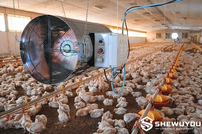 poultry house heating equipment installation