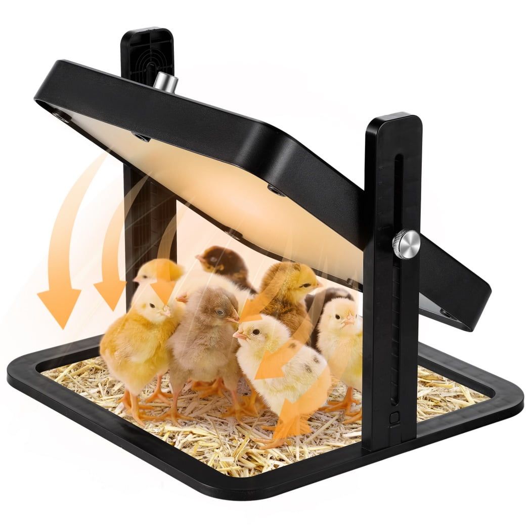 tilting electric poultry brooder plate with height adjustment