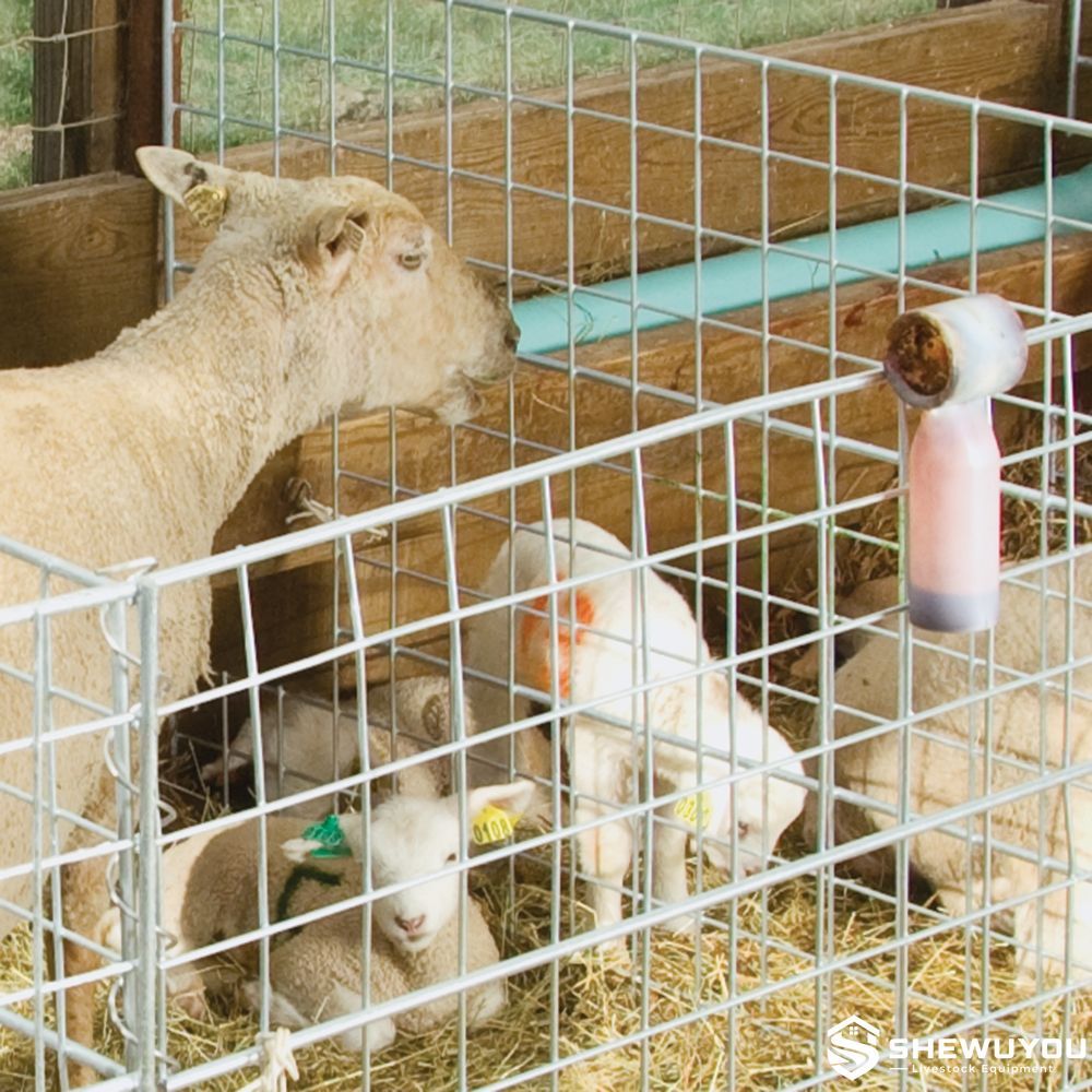 lambing pen with navel dipping cup hanging on rail