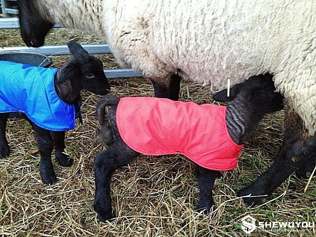 waterproof lamb warming coats for cold weather