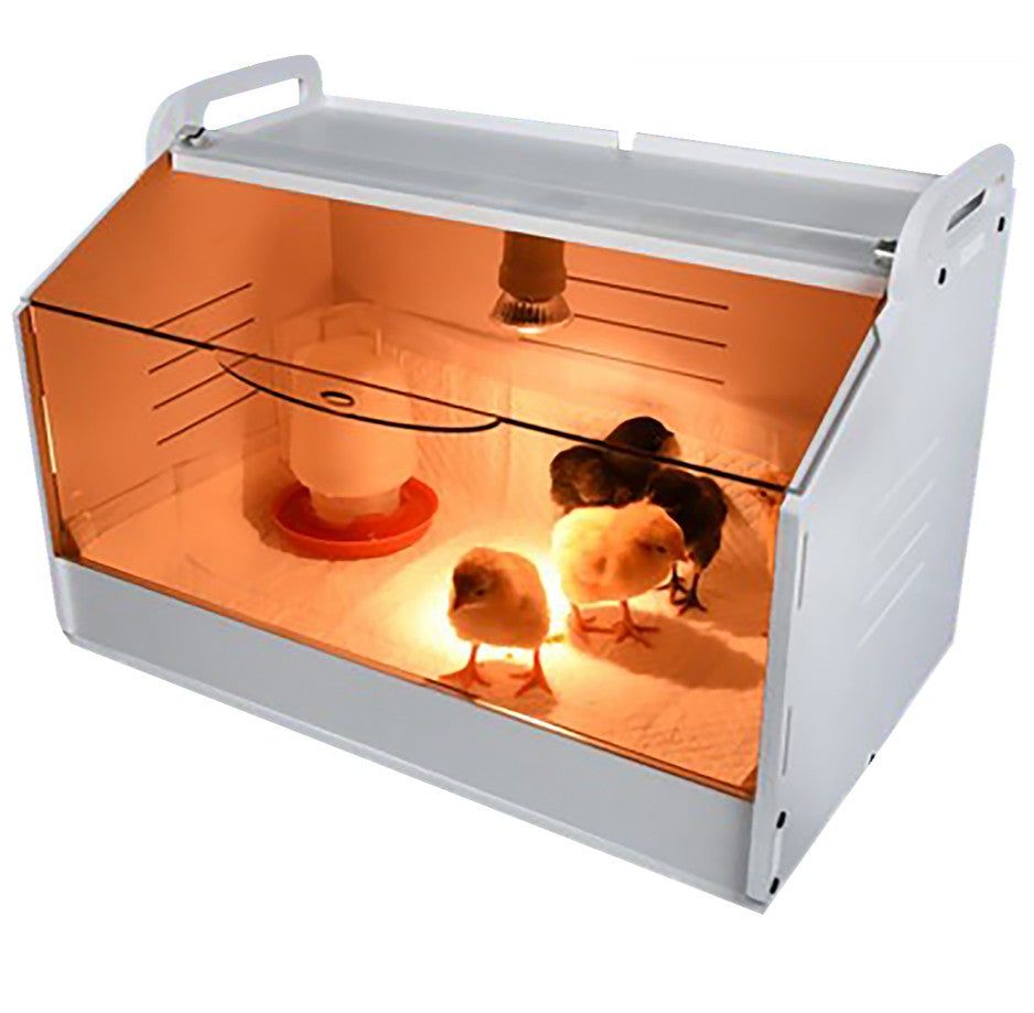 mini chick brooder heat lamp for poultry