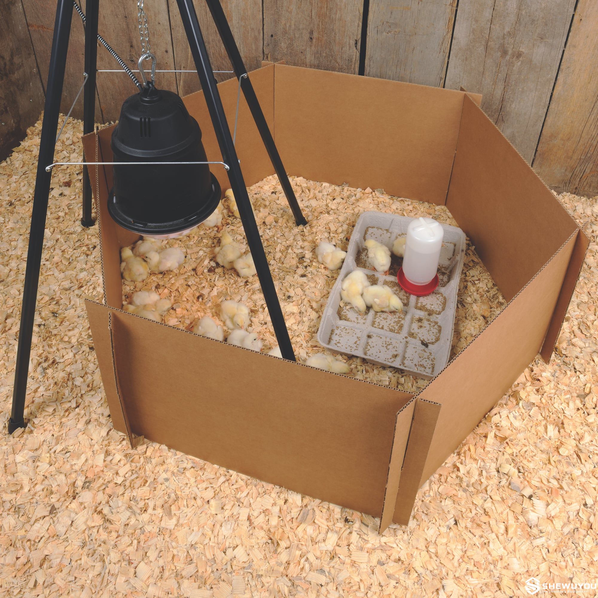 adjustable heat lamp stand installed above chick brooder