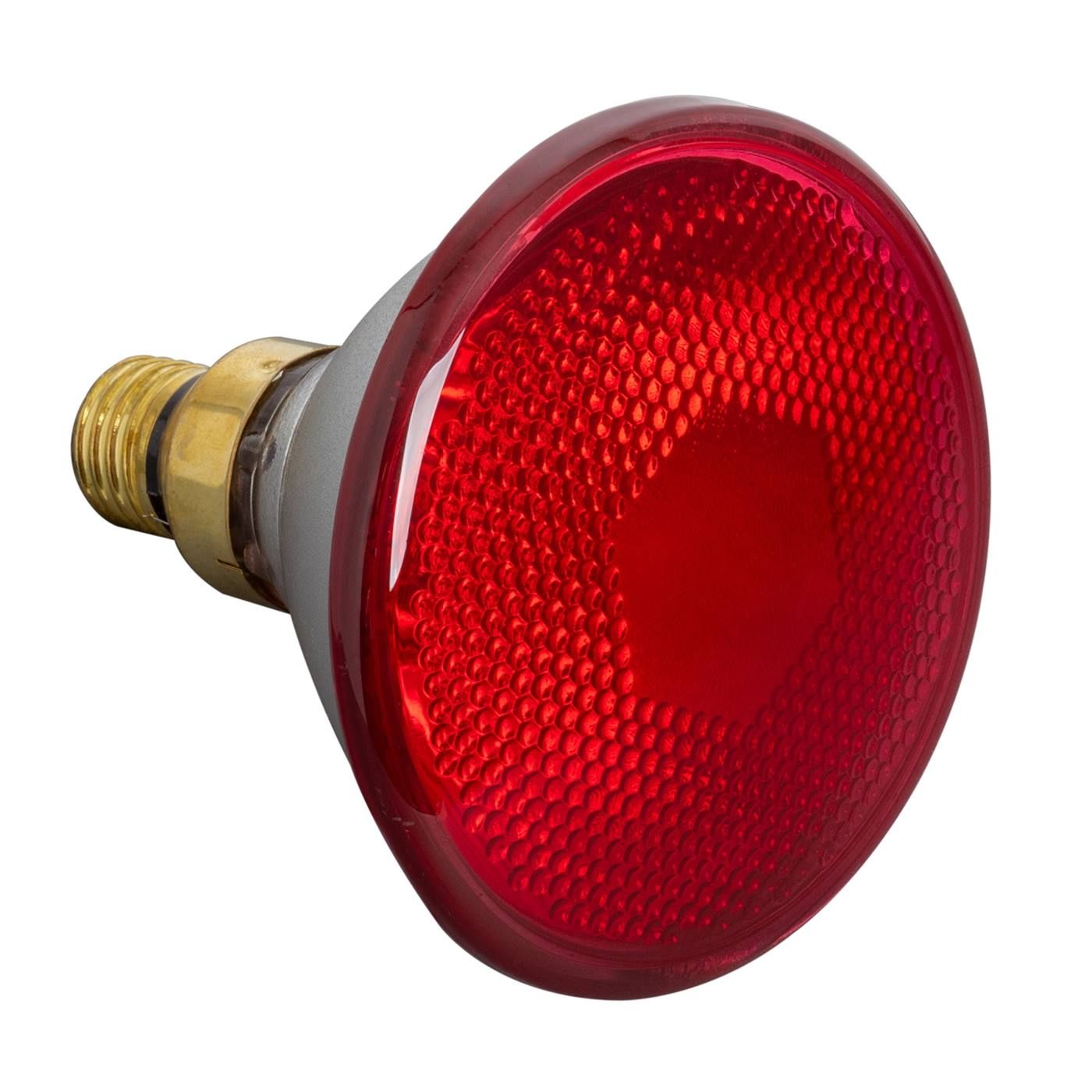replacement infrared brooder lamp bulb for poultry