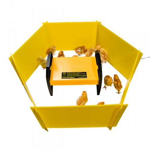 Chick Brooder Guard Panel Enclosure