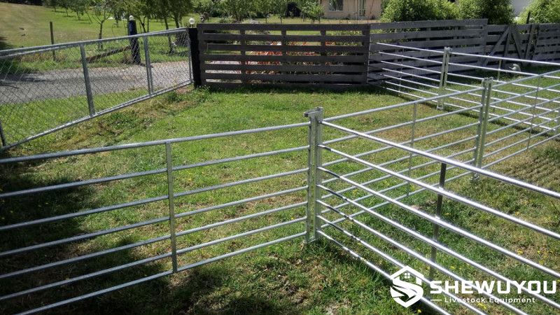 galvanized 7-rail interlocking sheep panels in outdoor pen