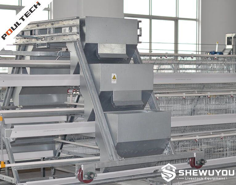 automatic manure removal equipment for layer cage system