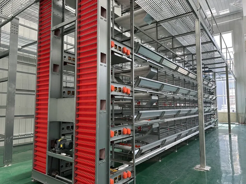 multi-tier H-type poultry cage system