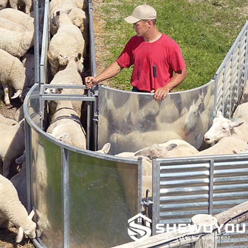 Curved Sheep Handling Panel - SHEWUYOU Livestock Equipment
