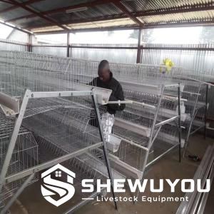 commercial layer poultry cage system
