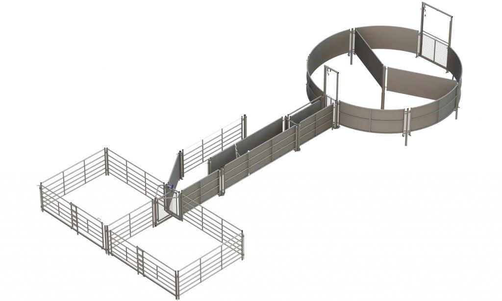 sheep dipping race handling system