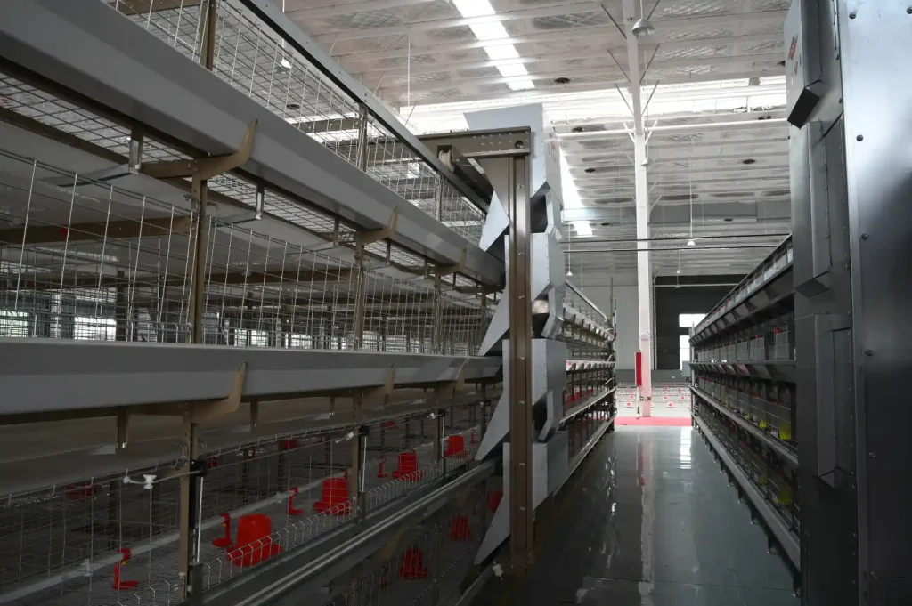 automatic feeding system for H-type broiler cages