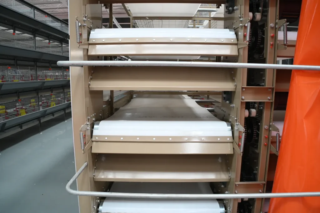 automatic manure removal system for H-type broiler cages