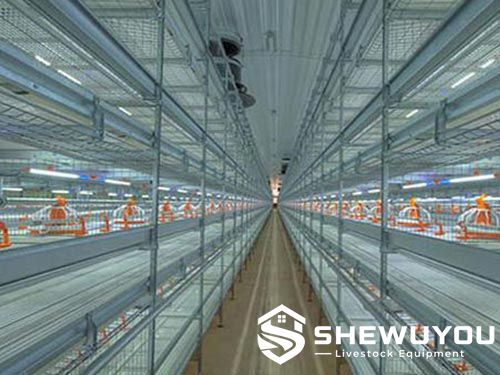 multi-tier automatic broiler cage equipment