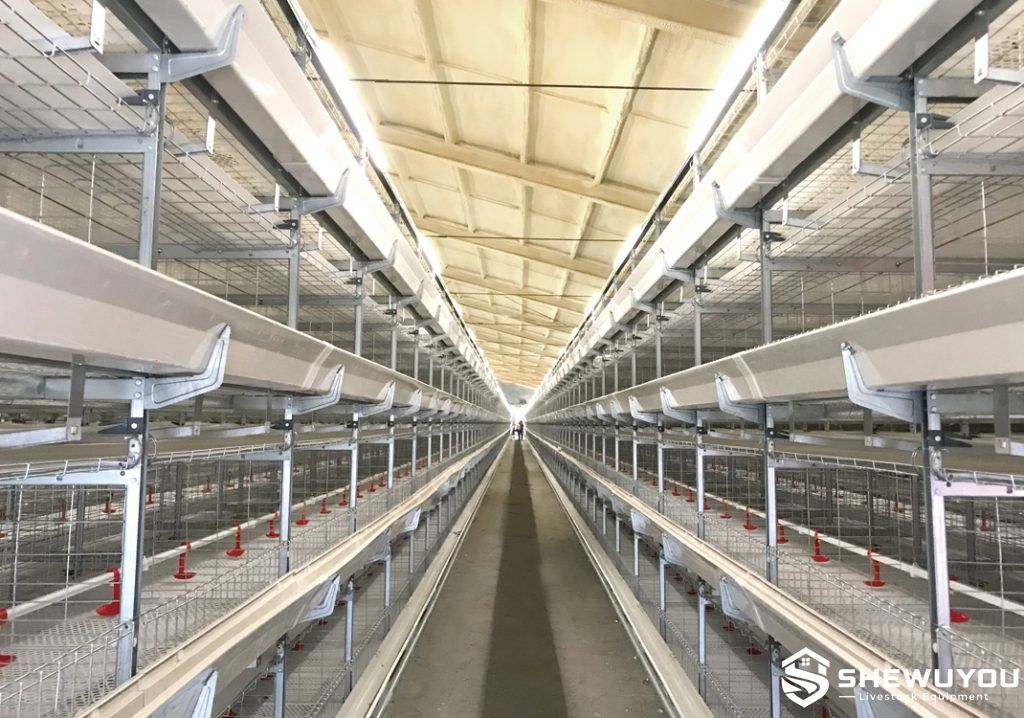 Multi-tier broiler cage system for commercial poultry farming