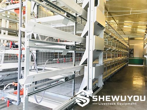 Multi-tier broiler cage equipment installed in poultry house