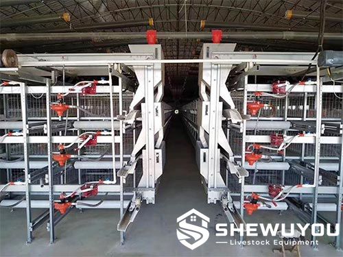 Automatic broiler cage system installation