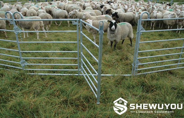 commercial sheep handling yard panels