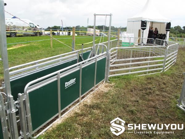 commercial sheep race handling equipment
