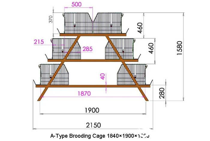 A-Type chick brooding cage structure