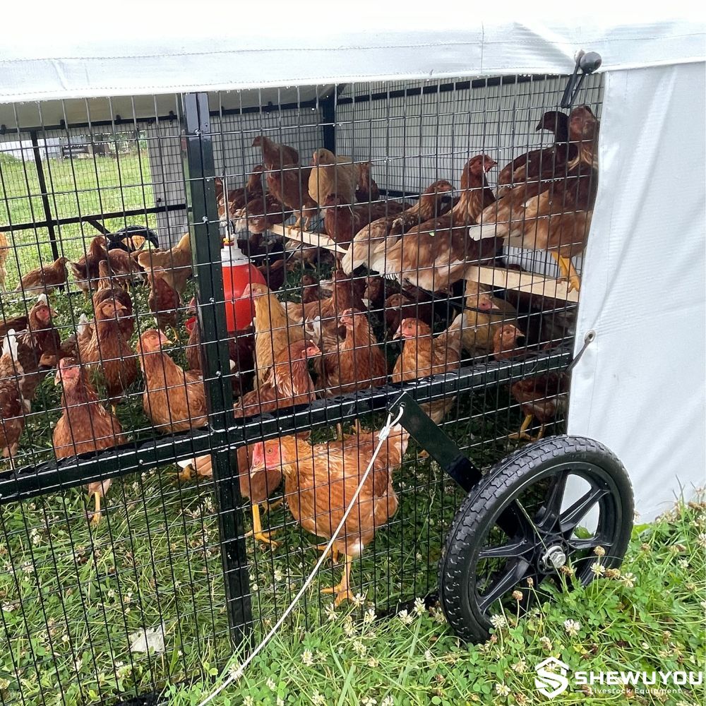 Mobile poultry cage with wheels