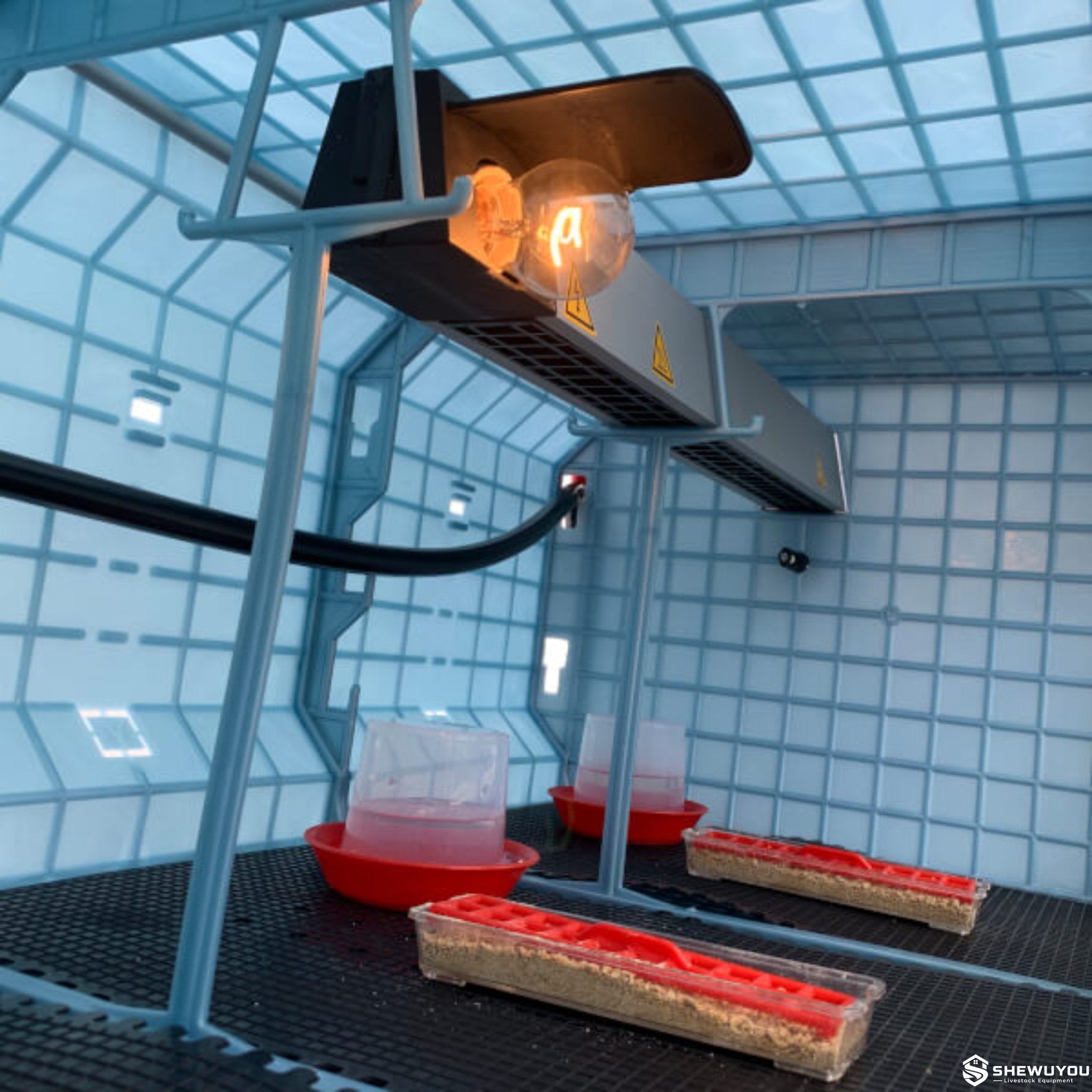 Plastic chick brooding cage interior with feeder and drinker