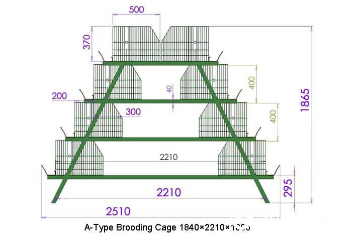 Four-tier automatic chick brooding cage layout