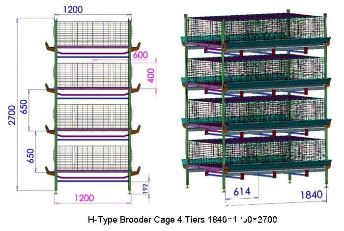 H-Type multi-tier automatic chick cage system