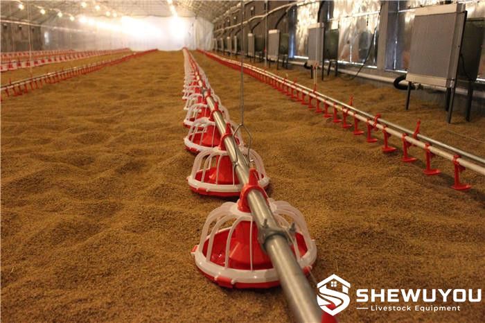 Automatic Broiler Pan Feeding System in Poultry House