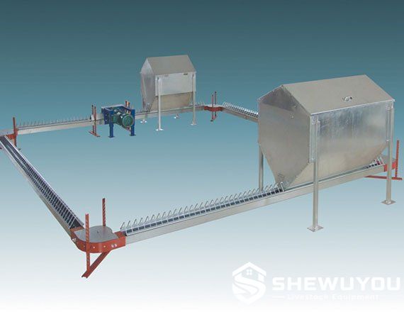 broiler breeder female chain feeding system