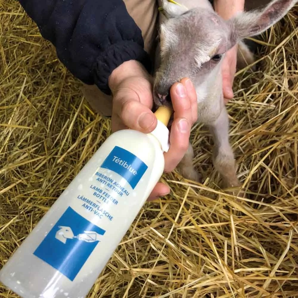 leak-proof valve lamb feeding bottle