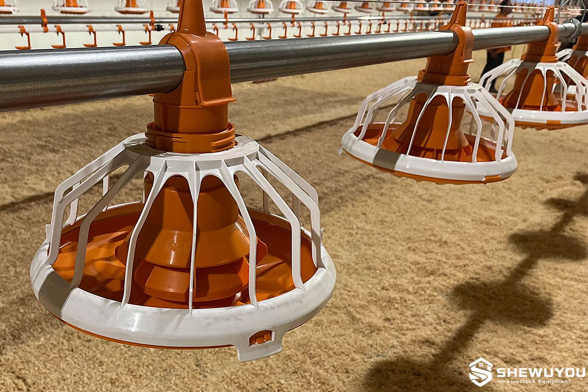 Automatic Poultry Pan Feeder System